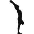 Df Yoga Silhouettes 005