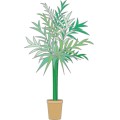 Df Home Plants 004