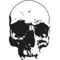 Skull001