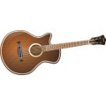 Oca Guitar 002