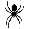 Pt Tattoo Spider 01