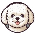 Bichon Dog 002