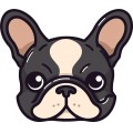 French Bulldog Dog 001