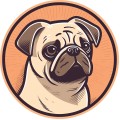 Pug Dog 001