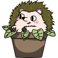 Animal Cactus 06